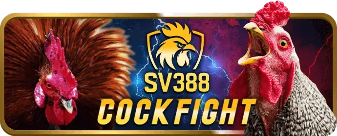 Ưu đãi và khuyến mãi slot game